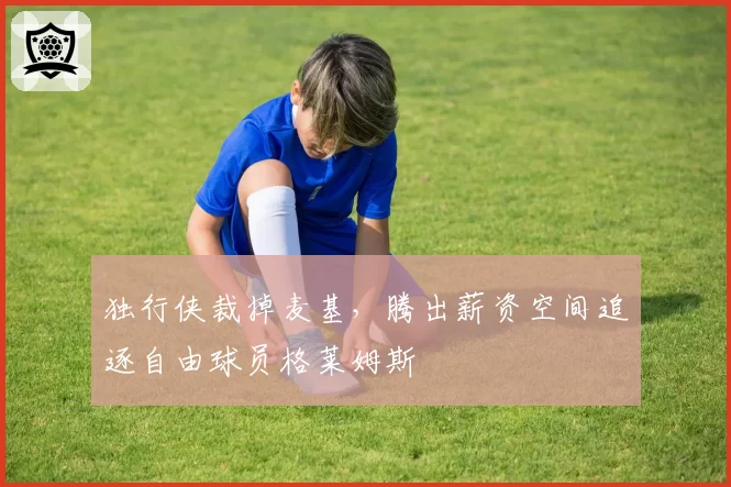 独行侠裁掉麦基,腾出薪资空间追逐自由球员格莱姆斯