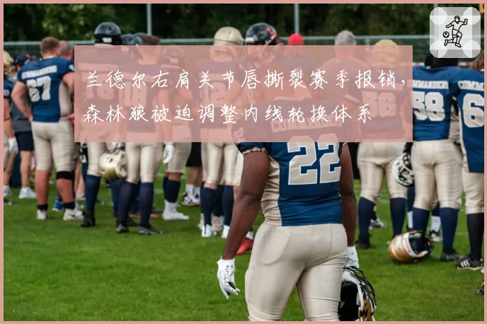 兰德尔右肩关节唇撕裂赛季报销，森林狼被迫调整内线轮换体系
