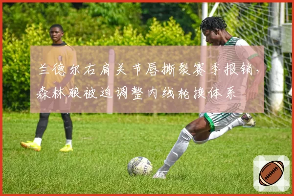 兰德尔右肩关节唇撕裂赛季报销，森林狼被迫调整内线轮换体系