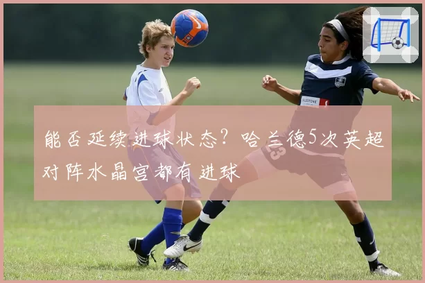 能否延续进球状态？哈兰德5次英超对阵水晶宫都有进球